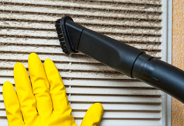 Best Professional Duct Cleaning Services  in Milton, FL